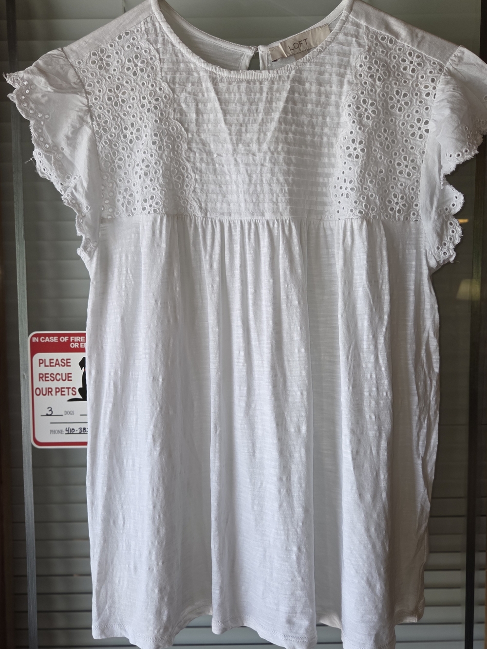 LOFT White Eyelet Flutter Sleeve Top